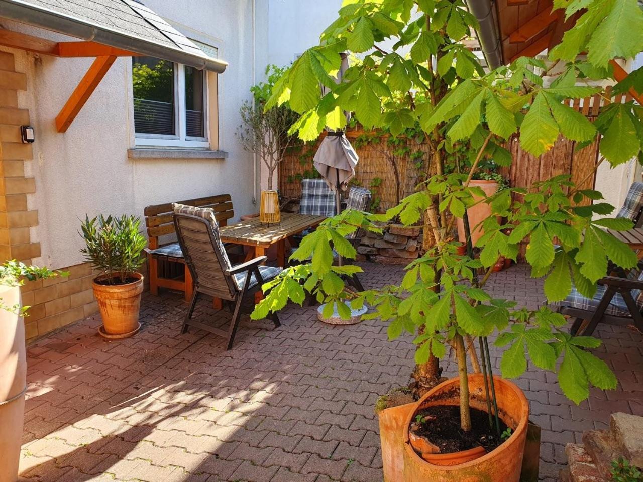 Haus Zwanzig Villa Weisel Екстериор снимка