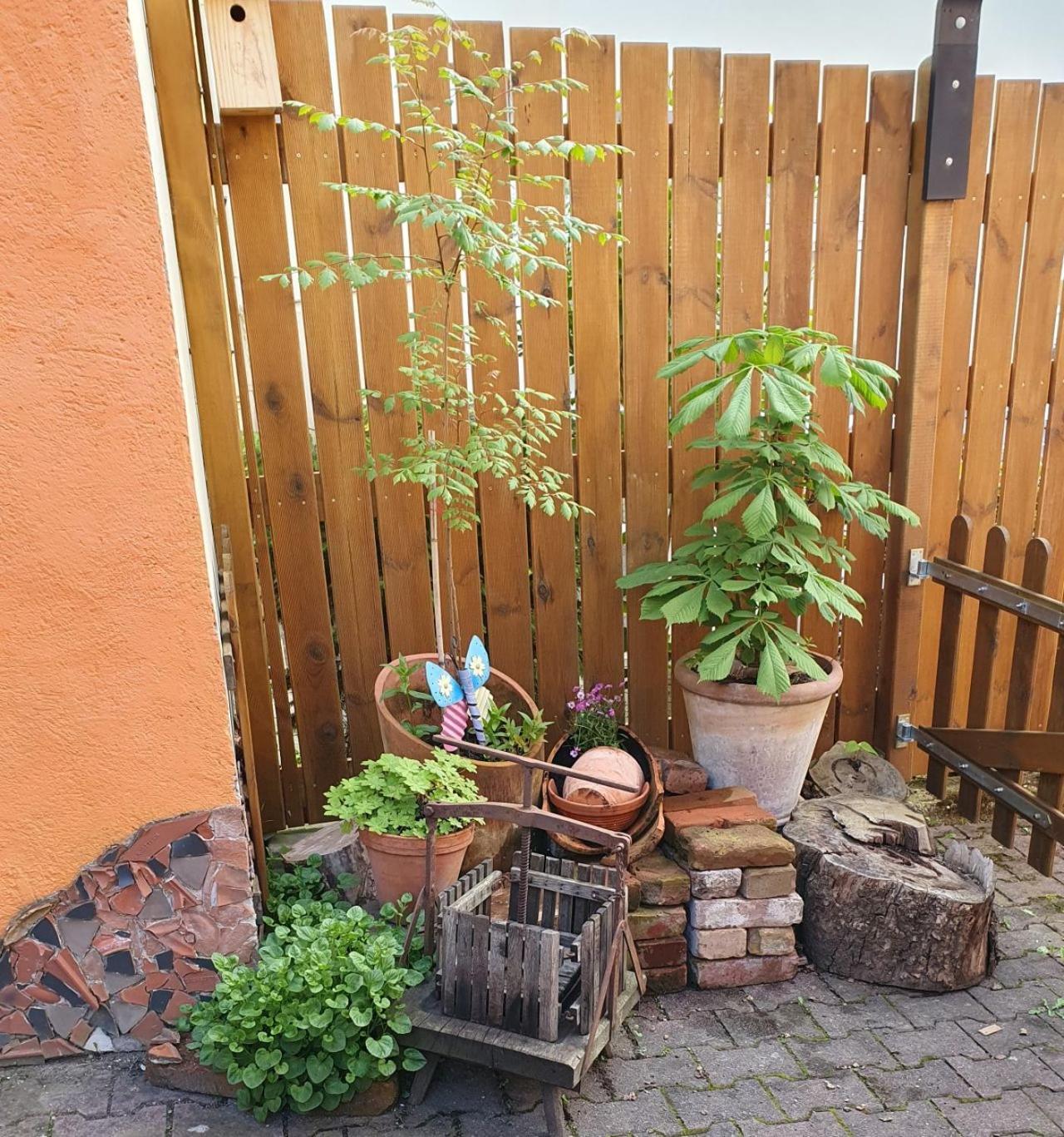 Haus Zwanzig Villa Weisel Екстериор снимка